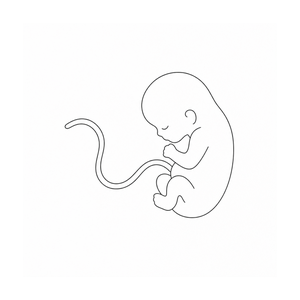 Qualified donated umbilical cord